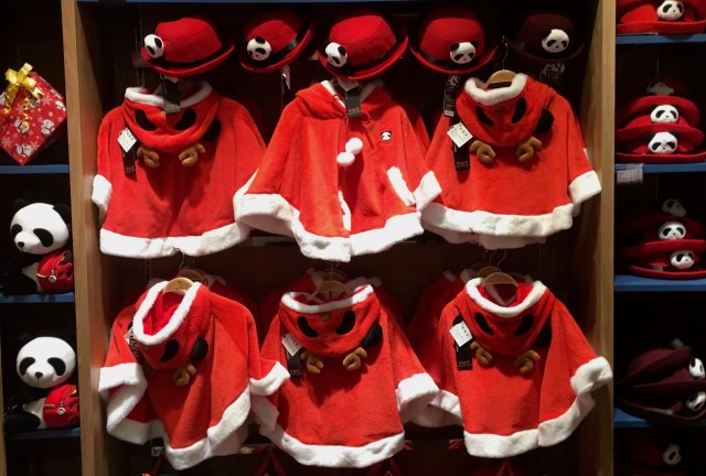 Weihnachtspanda im Elchkostüm. © at